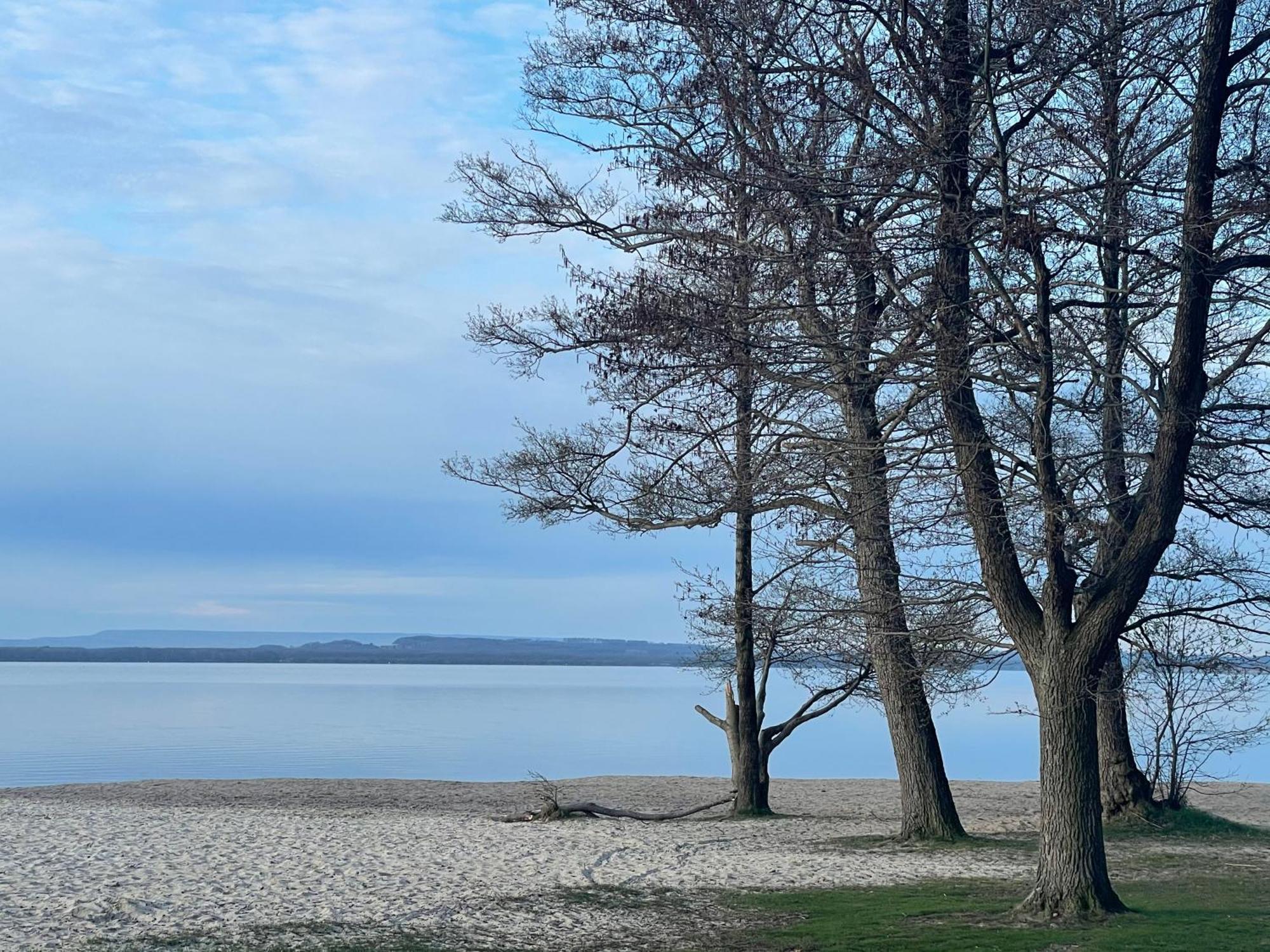 Strandhotel Weisser Berg Neustadt am Rübenberge Zewnętrze zdjęcie