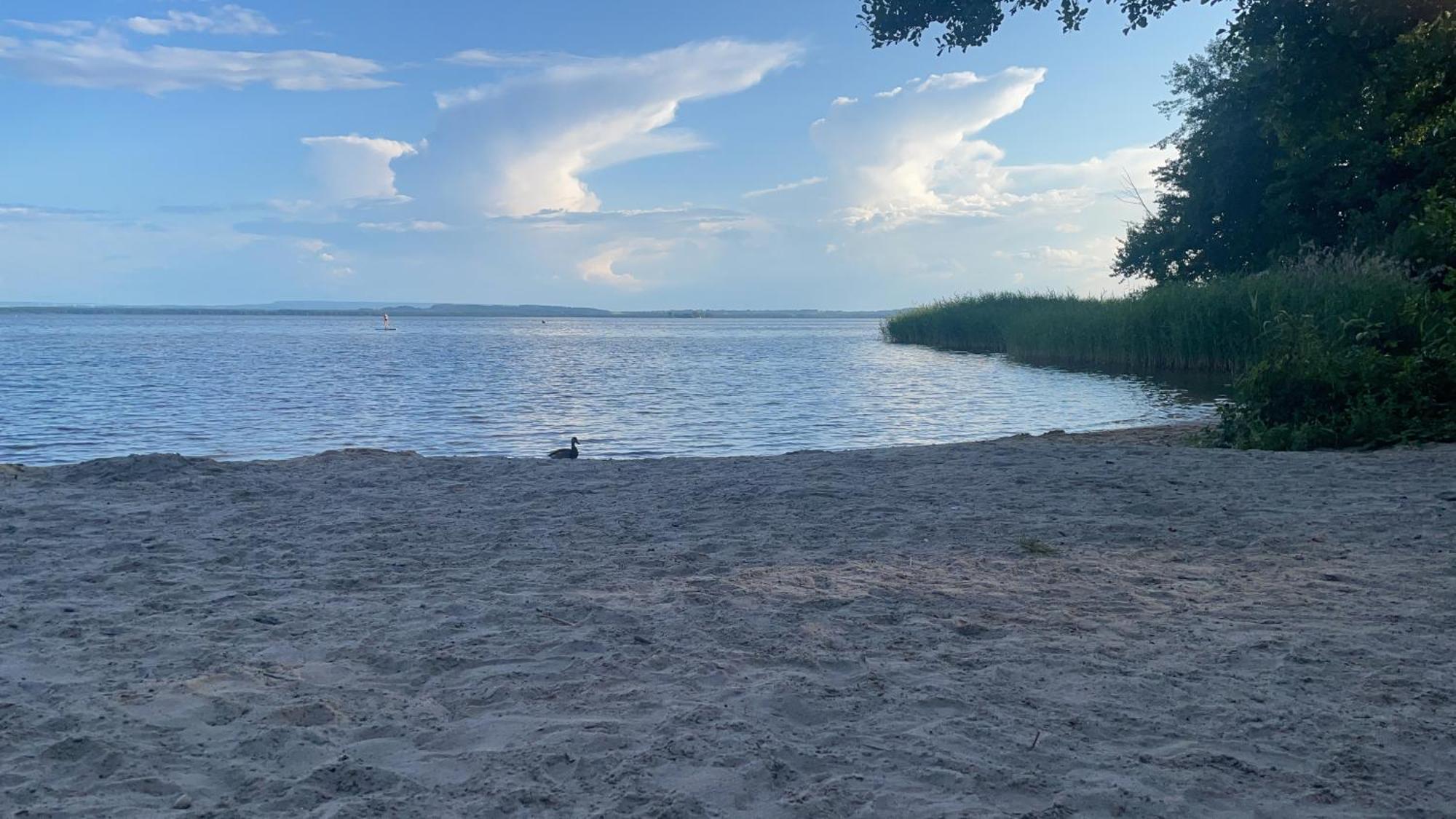 Strandhotel Weisser Berg Neustadt am Rübenberge Zewnętrze zdjęcie