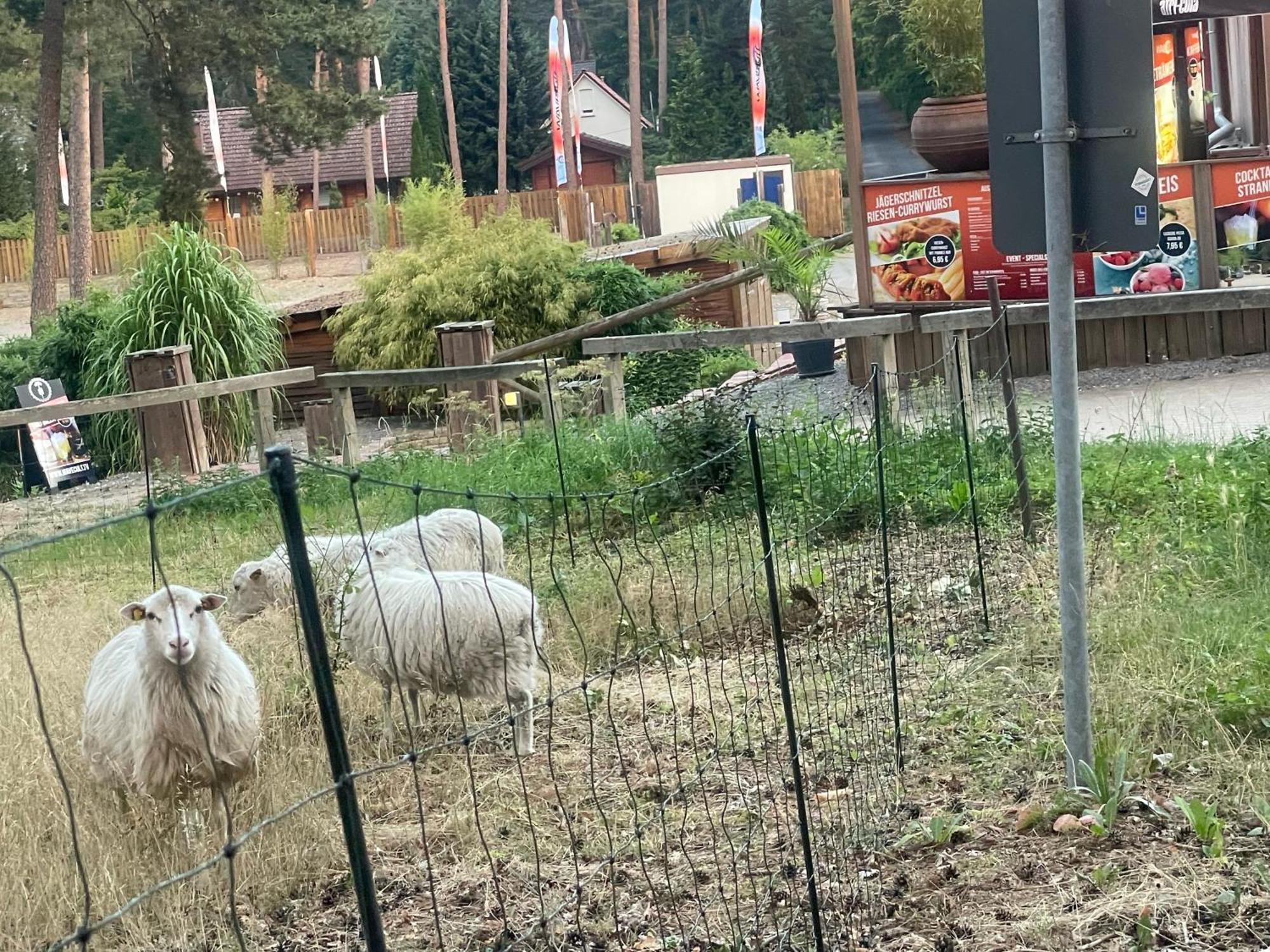 Strandhotel Weisser Berg Neustadt am Rübenberge Zewnętrze zdjęcie